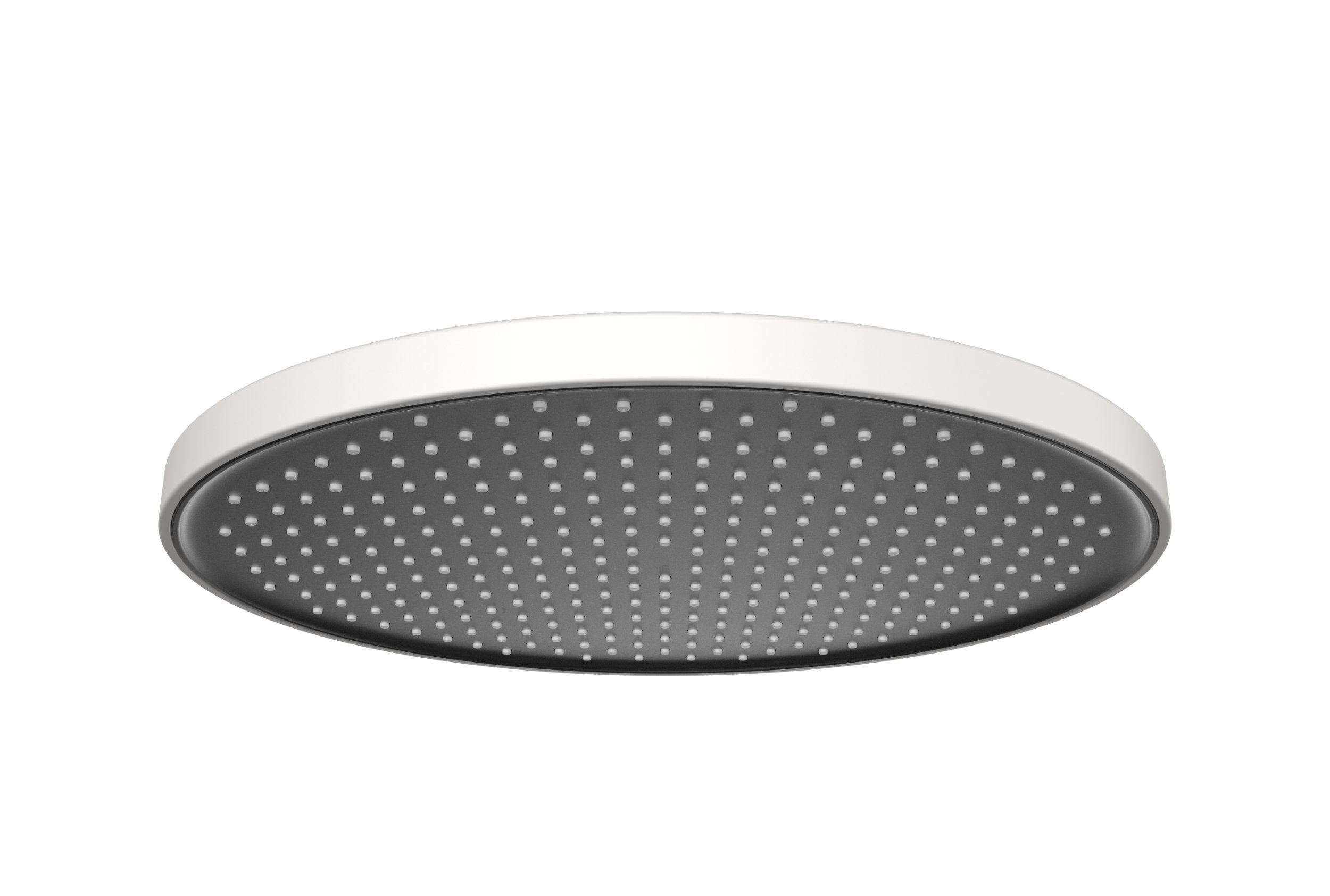 Regenduschkopf D2211R rund - Ø 25,4 cm - Anti-Kalk - Farbe wählbar