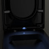 WC-Sitz Soft-Close U1002