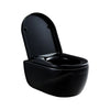 Wand-Hänge WC NT2039