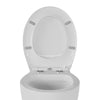 WC-Sitz Softclose